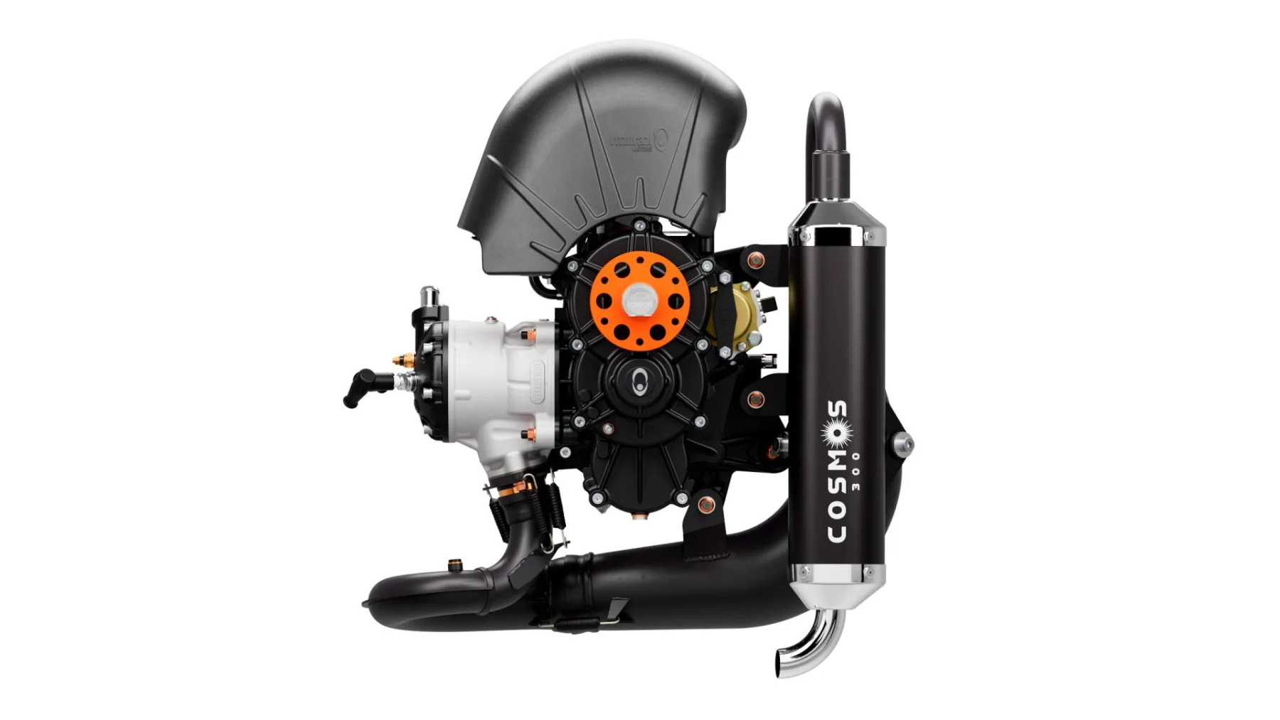 Cosmos 300